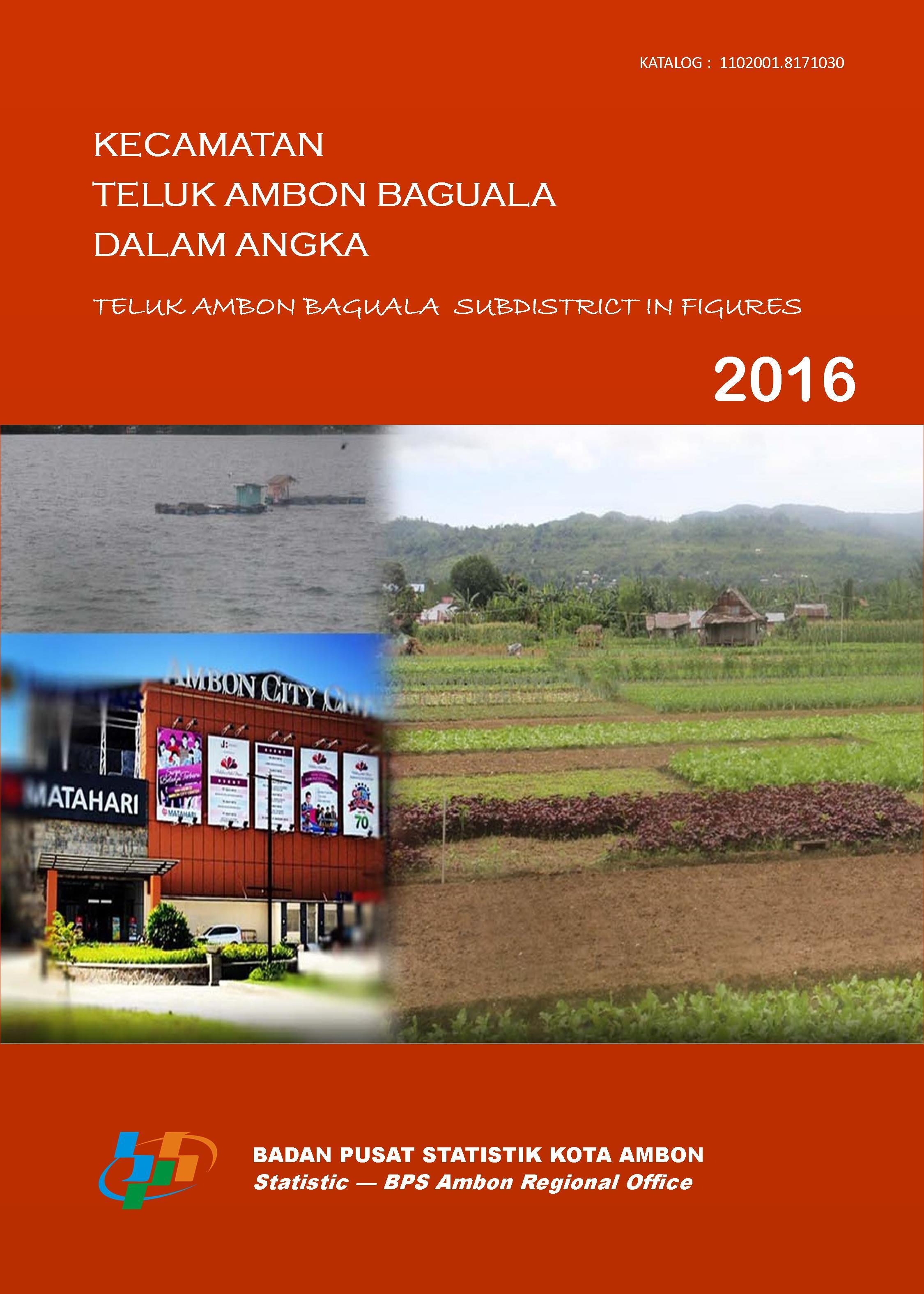 Kecamatan Teluk Ambon Baguala Dalam Angka 2016