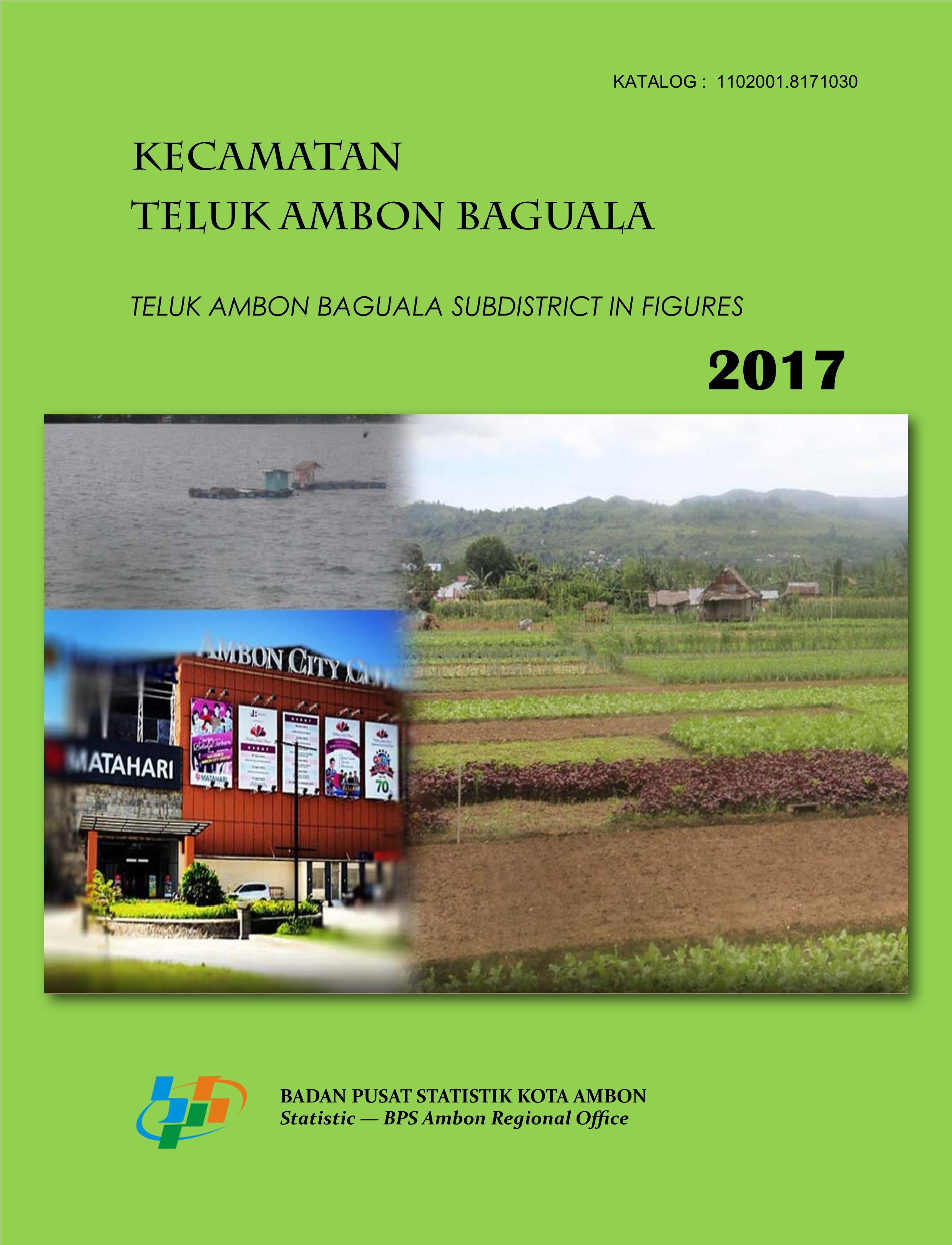 Teluk Ambon Baguala Subdistrict in Figures 2017